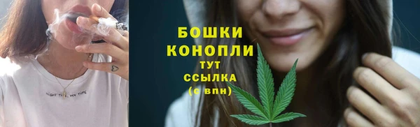 дживик Белоозёрский